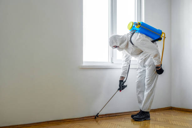 Professional Pest control in Golden Meadow, LA